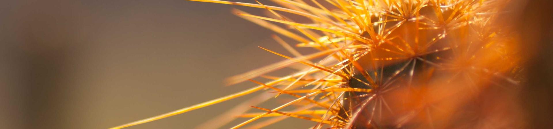 沈阳速康达护送救援服务有限公司 &middot; 舟山运营中心
